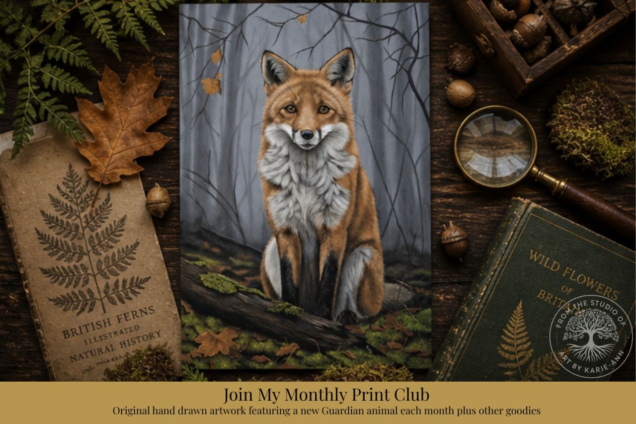 british wildlife art prints monthly art print subscription
